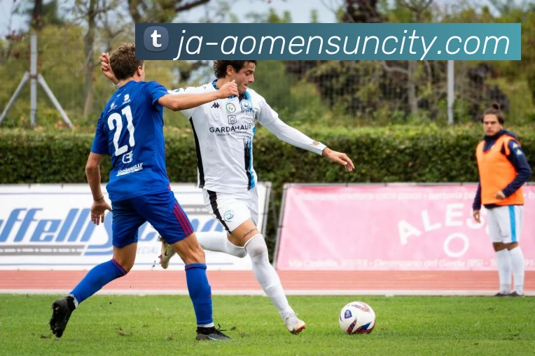 太阳城网站平台生态图